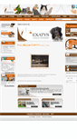 Mobile Screenshot of exatys.com
