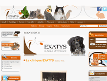 Tablet Screenshot of exatys.com